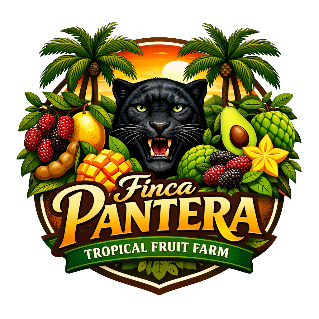 Finca Pantera Tropical Fruit Farm